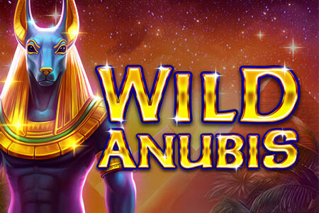 Wild Anubis